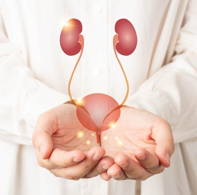 Zaboravite na inkontinenciju: Saznajte sve o praktičnim rješenjima i pomagalima